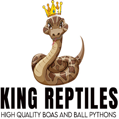 King Reptiles